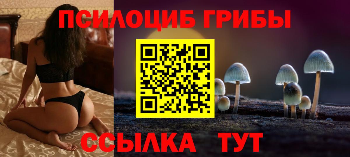Озёрск  Псилоцибиновые грибы Magic Shrooms  Вход с VPN 